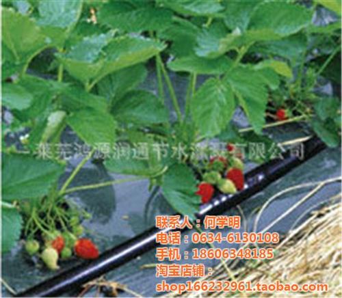 滴灌管价格|滴灌管|鸿源润通节水(多图)  内镶式滴灌管  大棚滴灌管