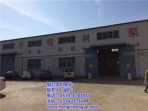 离心泵|恒利泵业耐腐蚀泵厂家|卧式离心泵  高品质离心泵  单级双吸离心泵