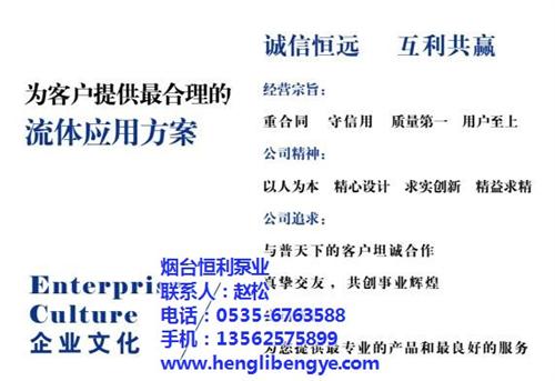 混流泵生产,混流泵,烟台恒利泵业(图)  混流泵应用范围  混流泵用途
