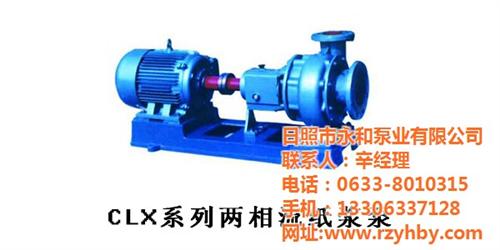 化工流程泵|永和泵业|化工流程泵型号  离心式化工流程泵  化工流程泵价格