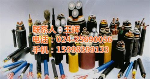 耐高温电缆哪家好,沈阳耐高温电缆,沈阳电  耐高温电缆规格  耐高温电缆价格  耐高温电缆生产厂
