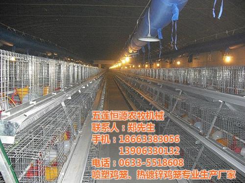 恒源鸡笼|鸡舍|养殖雏鸡鸡舍  山东笼养鸡舍  山东肉鸡笼养鸡舍