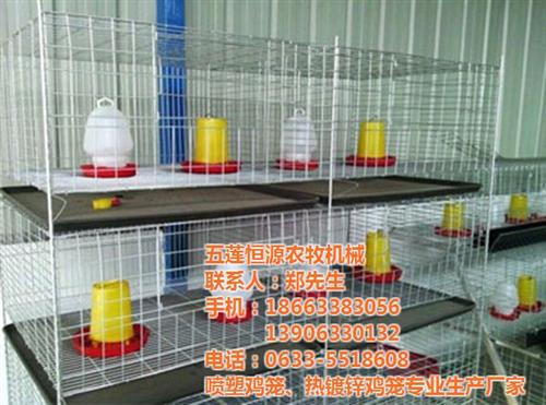采购肉鸡笼|肉鸡笼|恒源鸡笼(查看)&nbsp;&nbsp;肉鸡笼价格&nbsp;&nbsp;肉鸡笼批发