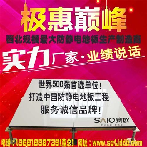 机房网络地板,宝鸡网络地板,赛欧防静电地 全钢网络地板 网络地板厂家
