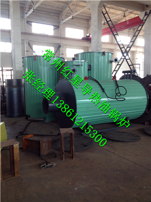 导热油锅炉专家&常州红星油气两用导热油锅炉  油气两用锅炉