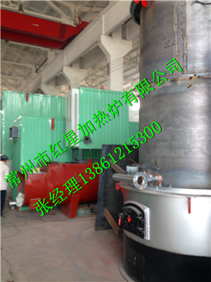 常州燃煤（生物质）两用导热油锅炉  常州锅炉  生物质锅炉