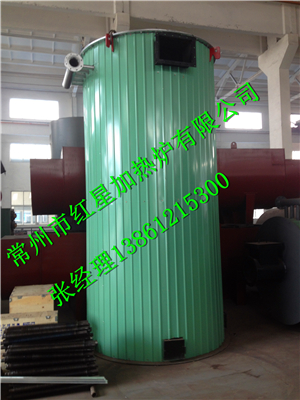 常州燃煤（生物质）两用导热油锅炉  常州锅炉  生物质锅炉