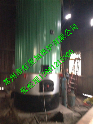 常州燃煤（生物质）两用导热油锅炉  常州锅炉  生物质锅炉