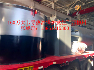 常州红星生物质锅炉&专业的导热油锅炉厂家