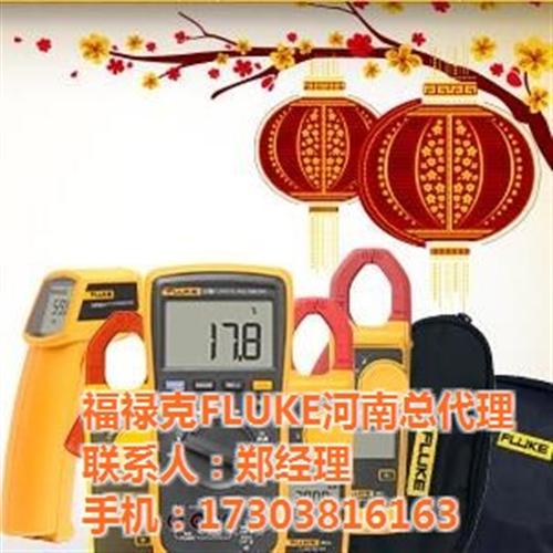 福禄克红外测温仪_上海测温仪_硕硕(图)  FLUKE红外测  非接触式测温仪