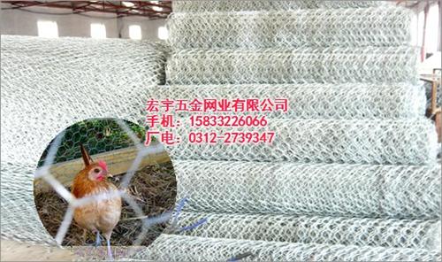 沧州拧花网_宏宇五金_养兔拧花网厂家  2寸拧花网30米  1寸拧花网现货