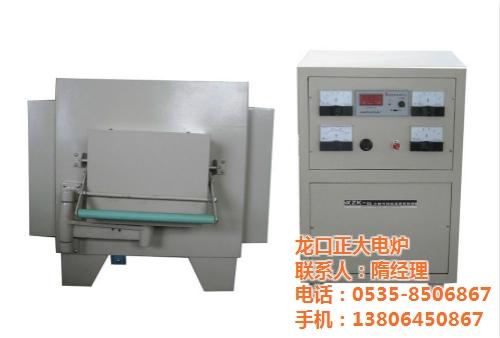 SX2-12-13试金炉_龙口正大电炉(  SX2-10-1  SX2-25-1