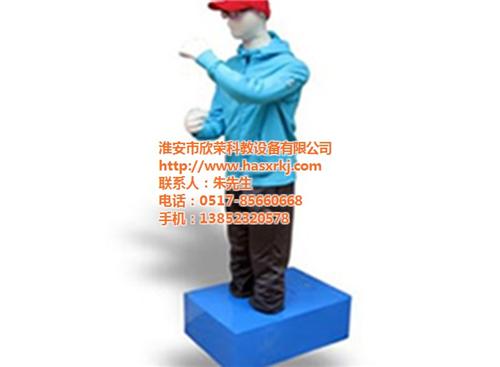 专业宣泄人,欣荣科教,专业宣泄人批发  专业宣泄人学校专  专业宣泄人厂家