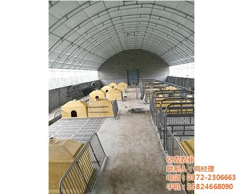 养猪大棚价格_养猪大棚_亿农农业(图)&nbsp;&nbsp;新式养猪大棚&nbsp;&nbsp;养猪大棚建造