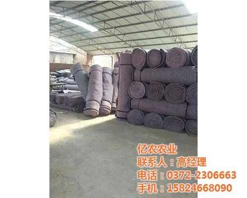 大棚棉被,亿农农业,大棚棉被供应商&nbsp;&nbsp;大棚棉被加工厂&nbsp;&nbsp;大棚保温棉被价格