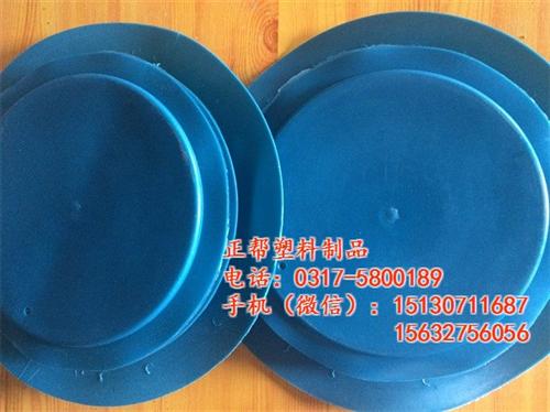 带颈法兰密封盖_法兰密封盖_正帮塑料制品  法兰密封盖价格  法兰密封盖生产厂