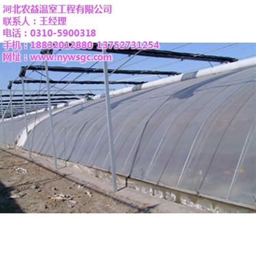 地下温室大棚技术_河北温室大棚_农益温室&nbsp;&nbsp;蔬菜温室大棚&nbsp;&nbsp;土温室大棚