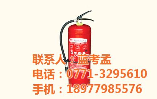 梧州批发胜安灭火器|批发胜安灭火器|鼎鑫  靖西批发胜安灭火  百色批发胜安灭火  贵港批发胜安灭火