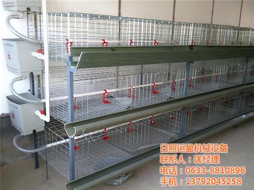 蛋鸡笼构造,蛋鸡笼,运盈机械生产厂家(多&nbsp;&nbsp;标准化蛋鸡笼&nbsp;&nbsp;全自动蛋鸡笼价格