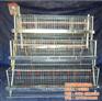 五莲蛋鸡笼生产厂家,鸡笼,运盈机械(查看