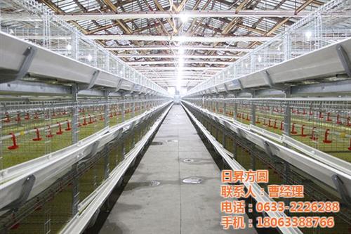 自动化养殖设备厂家|自动化养殖设备|方圆&nbsp;&nbsp;肉鸡自动化养殖设&nbsp;&nbsp;肉鸭自动化养殖设