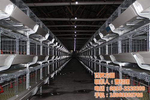 自动化养殖设备_方圆笼具_肉鸭自动化养殖 肉鸭自动化养殖设 自动化养殖设备厂