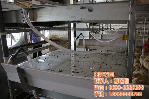 自动化养鸡笼具价格|养鸡笼具|方圆笼具(  全自动养鸡笼具价