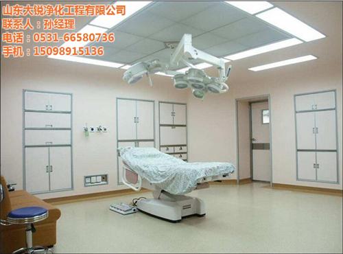 无菌车间净化_盐城净化_大锐净化(多图)  实验室净化工程  GMP车间净化