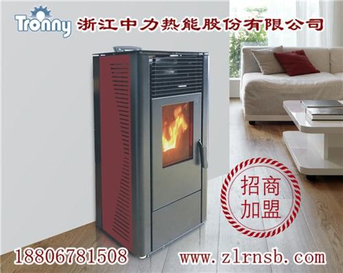 壁炉,浙江中力品质赢口碑,壁炉订购  壁炉采购  壁炉定购