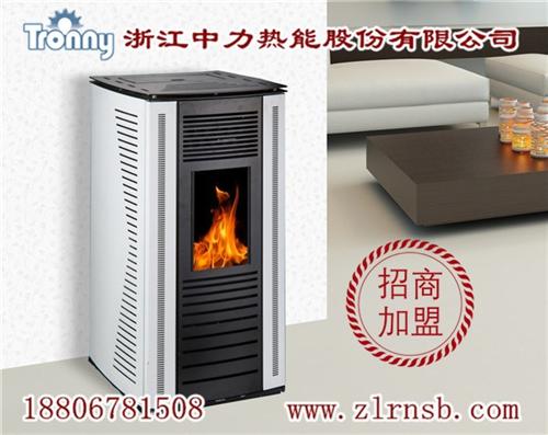 壁炉|浙江中力品质赢口碑|壁炉定购  壁炉采购  壁炉定制