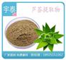 板蓝根提取物,宇泰,板蓝根提取物生产
