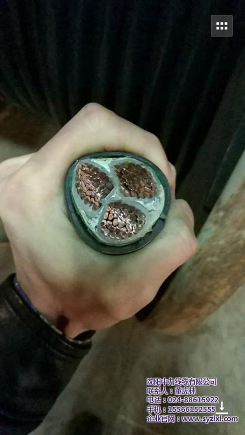 沈阳电缆_中力线缆_矿物电缆  重型橡套软电缆  BV系列电缆