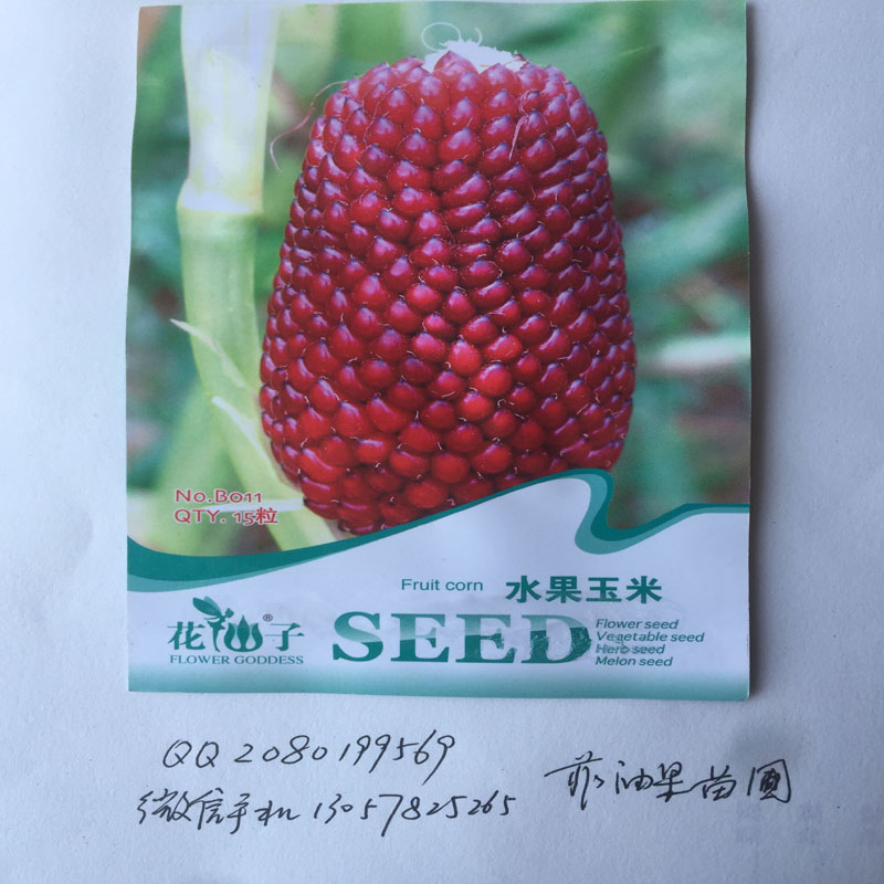 水果玉米种子15粒花仙子 阳台盆栽庭院春播易种 水果蔬菜