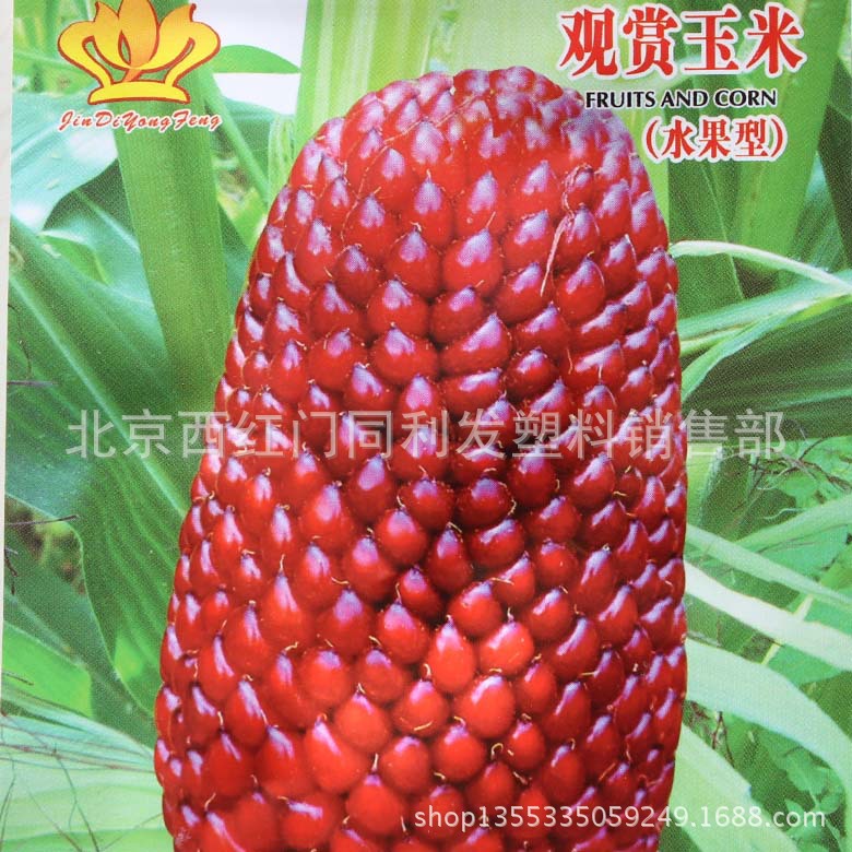 水果玉米种子15粒花仙子 阳台盆栽庭院春播易种 水果蔬菜