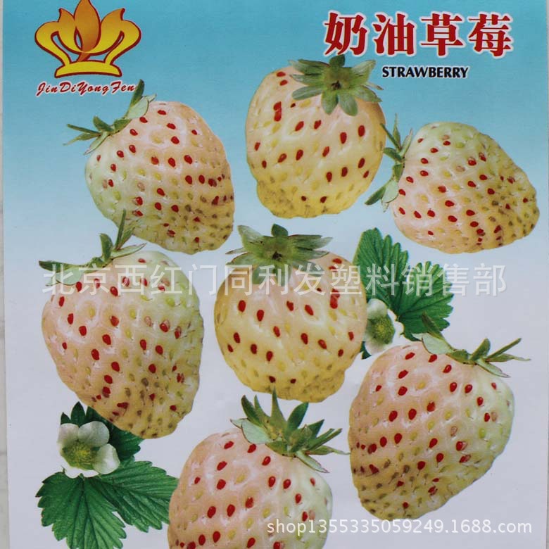 奶油草莓 约40粒