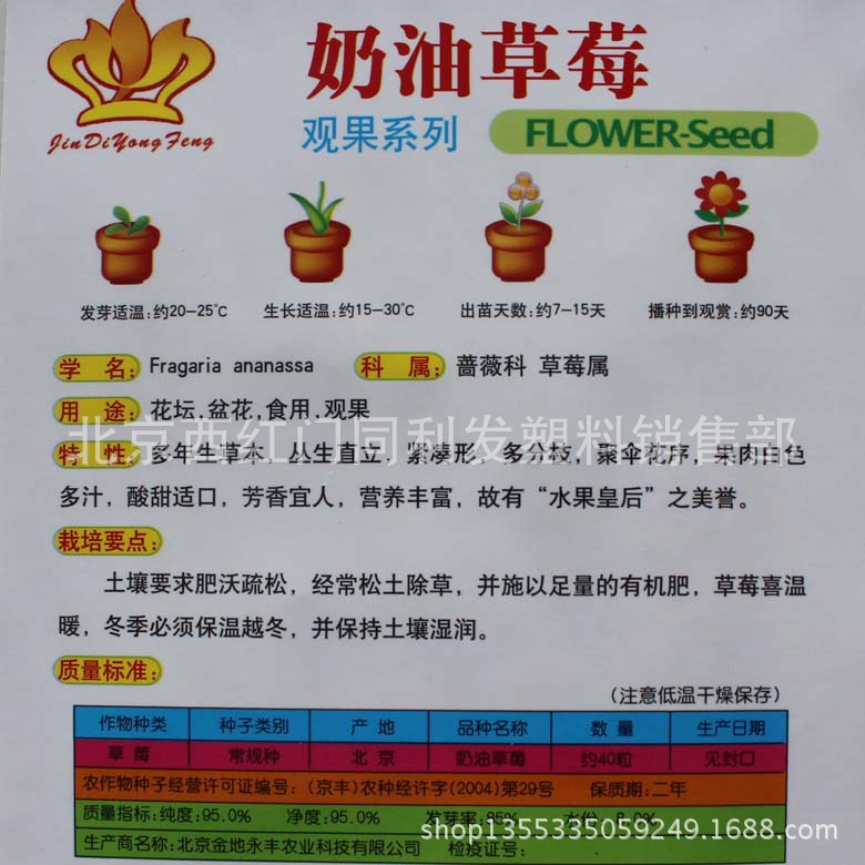 奶油草莓 约40粒