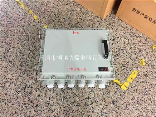 BJX51粉尘防爆接线箱供应&nbsp;&nbsp;防爆接线端子箱&nbsp;&nbsp;防爆分线箱