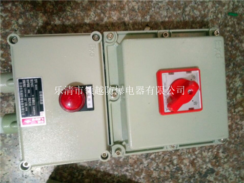 厂用防爆漏电开关箱 防爆开关箱 防爆隔离开关 塑壳防爆断路器