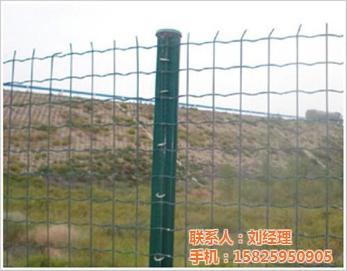 钢丝网围栏批发_河南钢丝网围栏_重庆祥驰&nbsp;&nbsp;钢丝网围栏价格&nbsp;&nbsp;饲养场钢丝网围栏