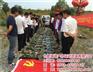 合肥真人cs、合肥海峰、户外拓展真人cs