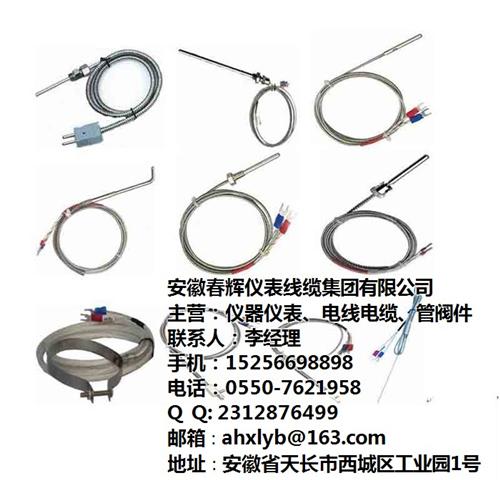 安徽春辉集团,上海耐腐热电偶,耐腐热电偶  春辉耐腐热电偶  耐腐热电偶厂  耐腐热电偶价格