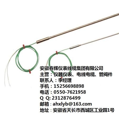 春辉WRNK热电偶_吉林WRNK热电偶_  WRNK热电偶选  WRNK热电偶厂