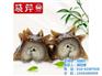 晓芹速发海参|晓芹海参|晓芹速发海参报价