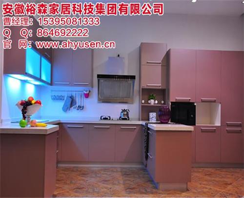 整体橱柜,合肥橱柜,安徽裕森(图) 定制整体橱柜 实木橱柜