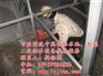水箱清洗|俊龙清洗|偃师市生活水箱清洗