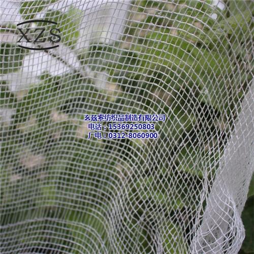 玄兹索纺织_包头鬼节纱布_鬼节纱布哪里卖  出口鬼节纱布  鬼节纱布生产