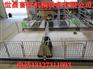 镀锌管质量可靠自制仔猪保育床泊头世昌畜牧