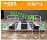 世昌生产2.1*3.6母猪产床厂家定制双体母猪产床