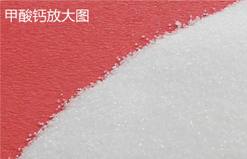华瑞牧业活力多提高产蛋率降低鸡蛋破损  蛋鸡提高产蛋率  蛋鸡补钙