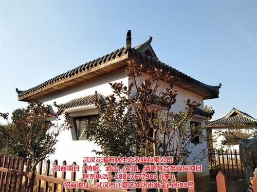 东西湖酒店加盟,武汉花海石林大平台,中档&nbsp;&nbsp;中档酒店加盟&nbsp;&nbsp;主题酒店加盟条件&nbsp;&nbsp;哪家酒店加盟好